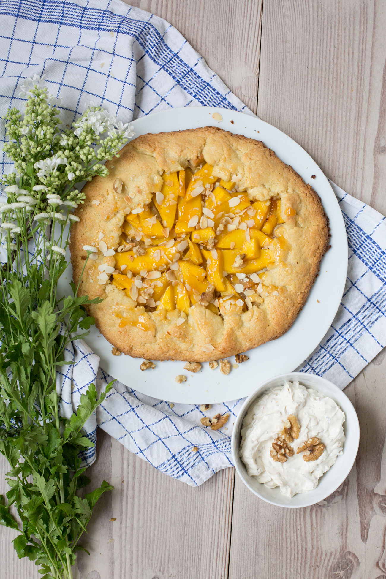 mango-aprikosen-galette-held-am-herd-2