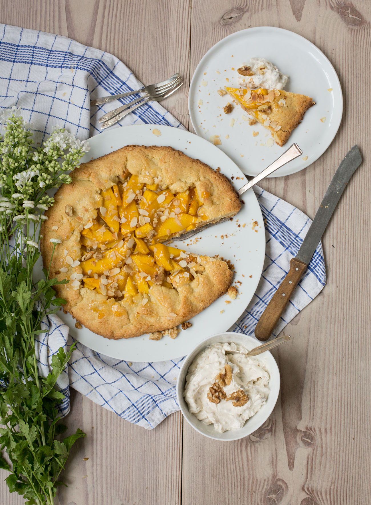 mango-aprikosen-galette-held-am-herd