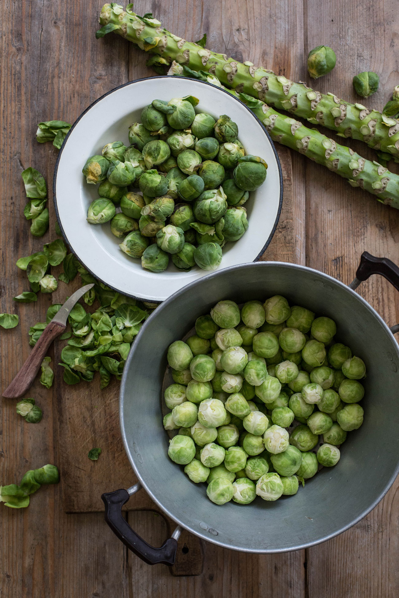 rosenkohlgratin-5-held-am-herd